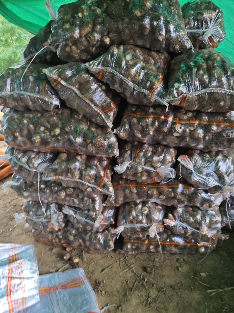 8520豆包芋头好吃，价格不会预购从速。