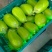 河南大棚无籽青茄子精品大青茄子保质保量价格优惠