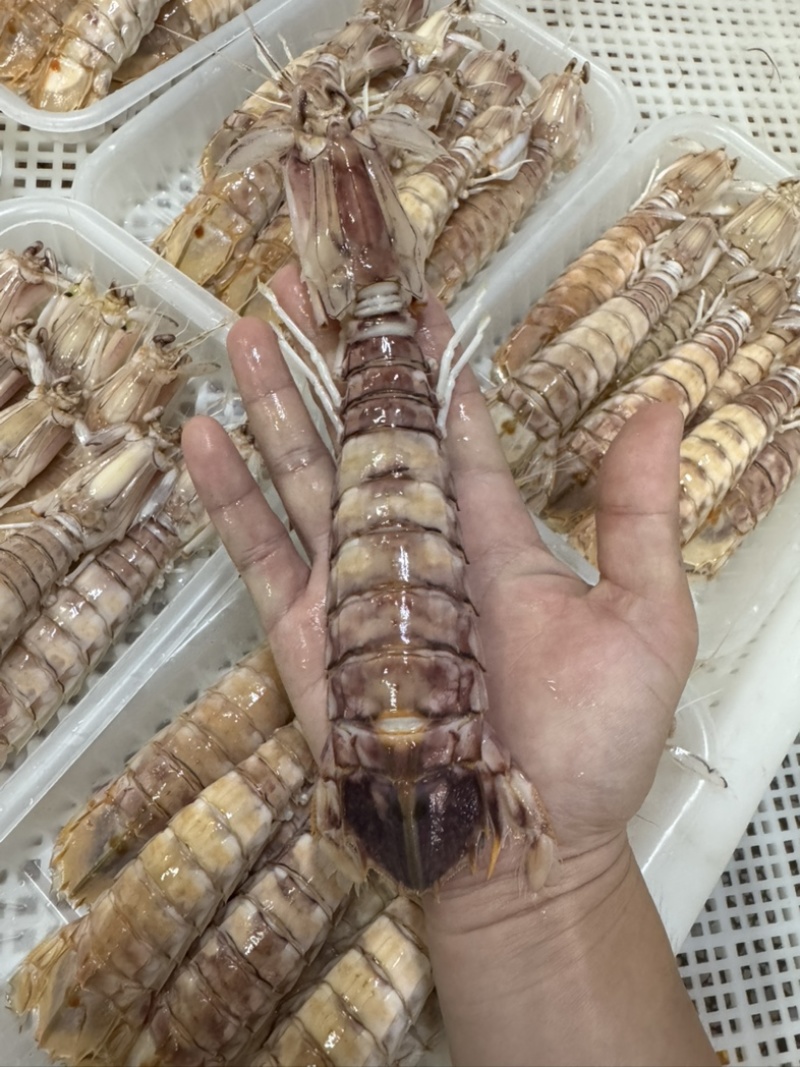 皮皮虾糕虾