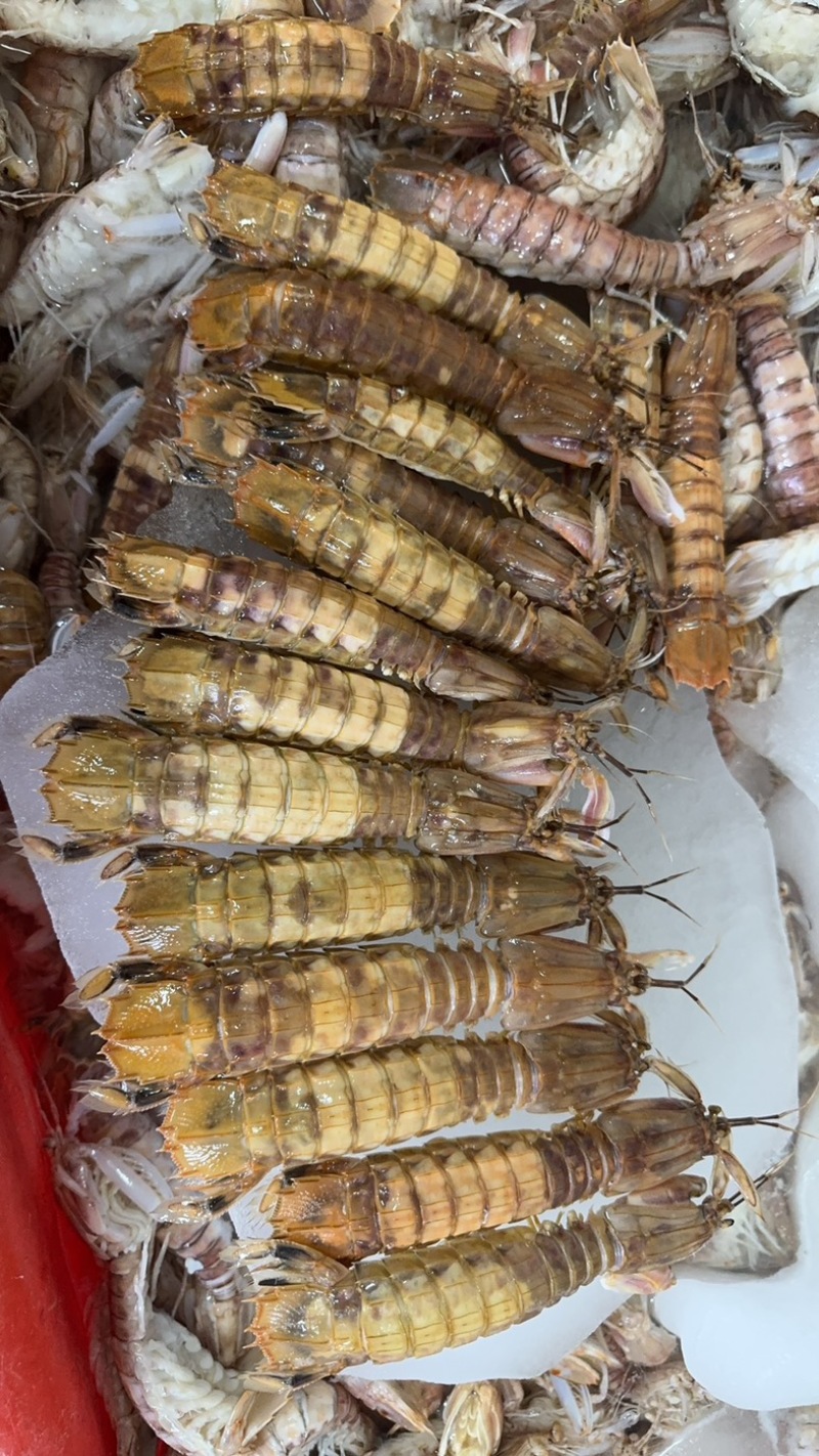 皮皮虾糕虾