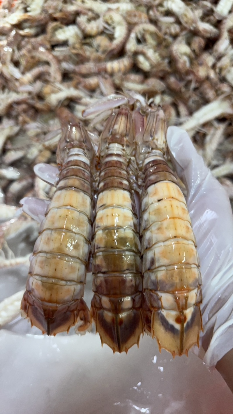 皮皮虾糕虾