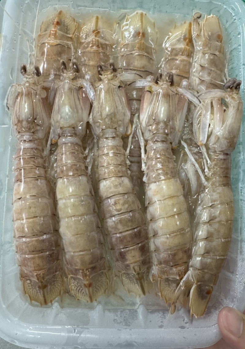 皮皮虾糕虾