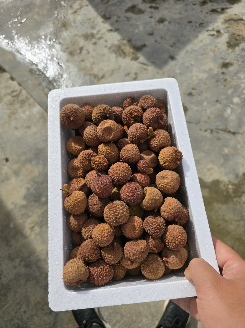 荔枝干桂味荔枝干核小肉厚2025年新货
