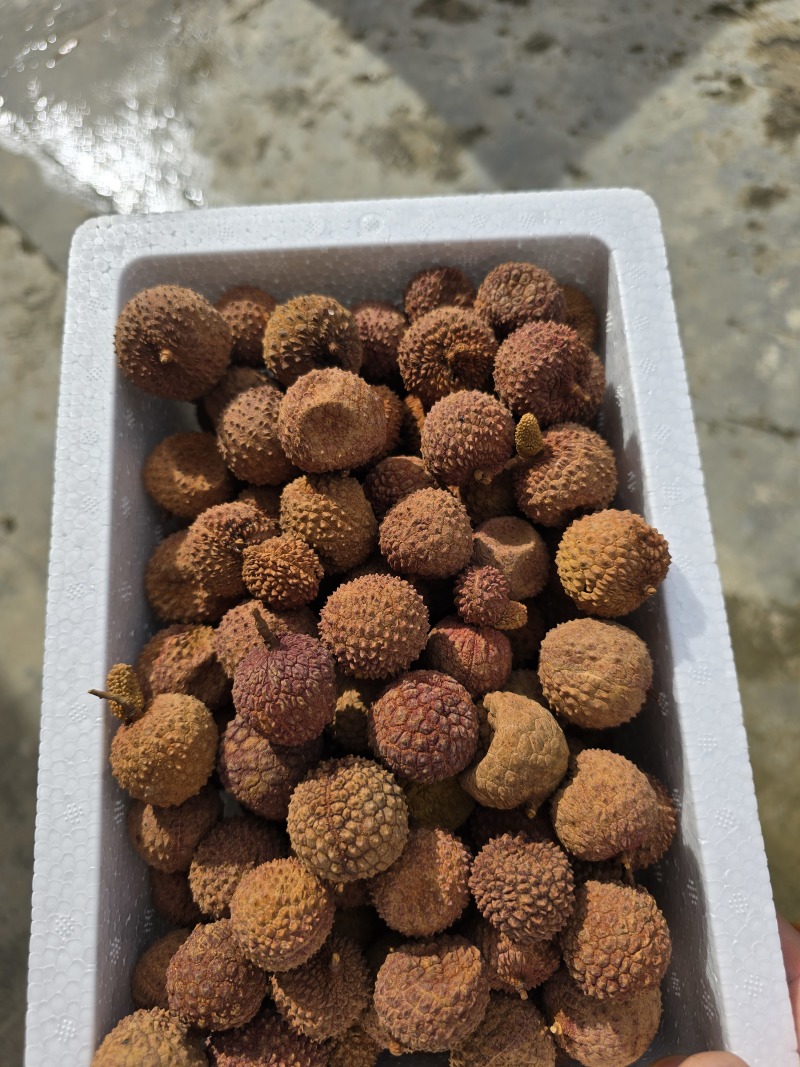 荔枝干桂味荔枝干核小肉厚2025年新货