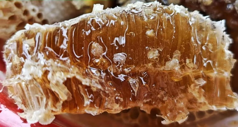 贵州大山里的土蜂蜜野生蜂蜜深山蜂蜜欢迎选购
