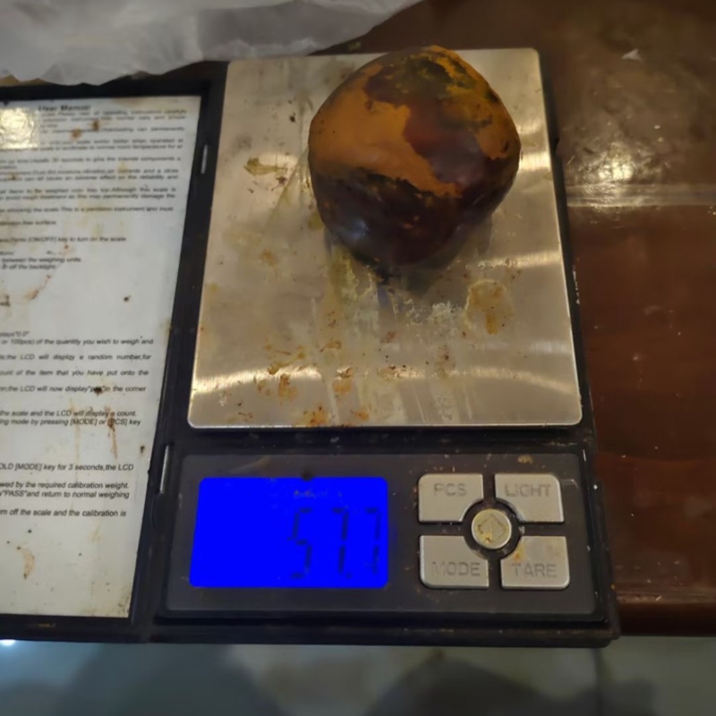 天然牛黄