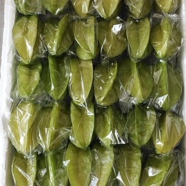 杨桃
