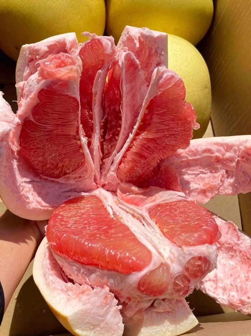 福建平和琯溪红心柚子，果面干净，水分充足，一手货源