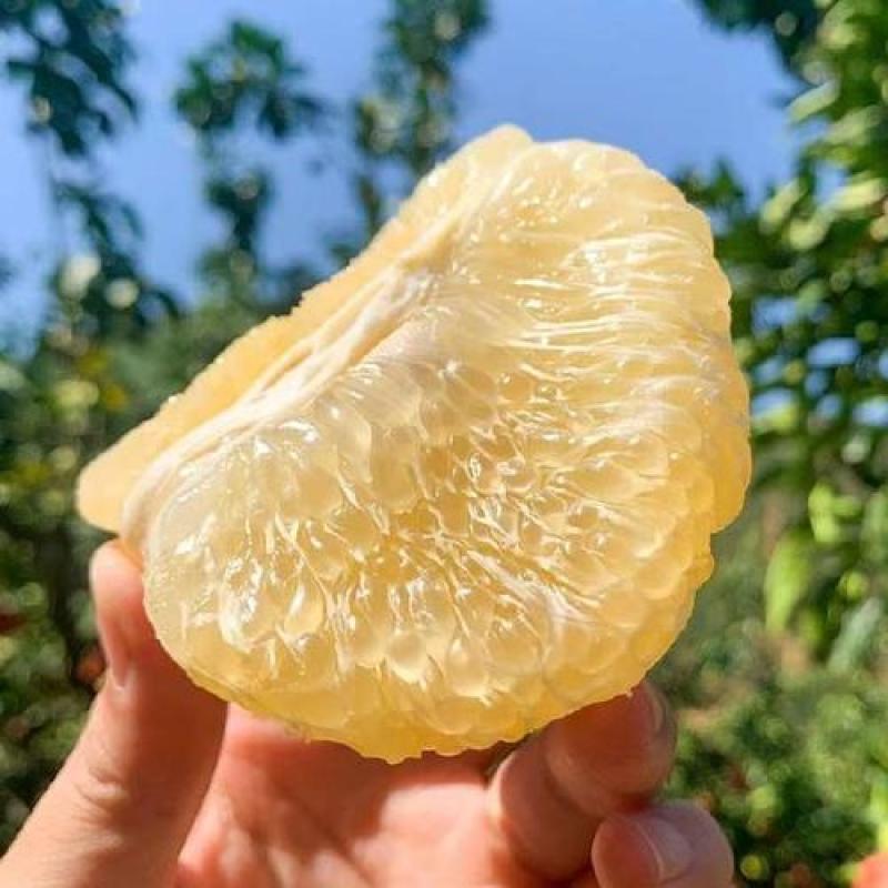 福建平和琯溪白柚，个头平均，皮毛干净，糖度高，代发全国