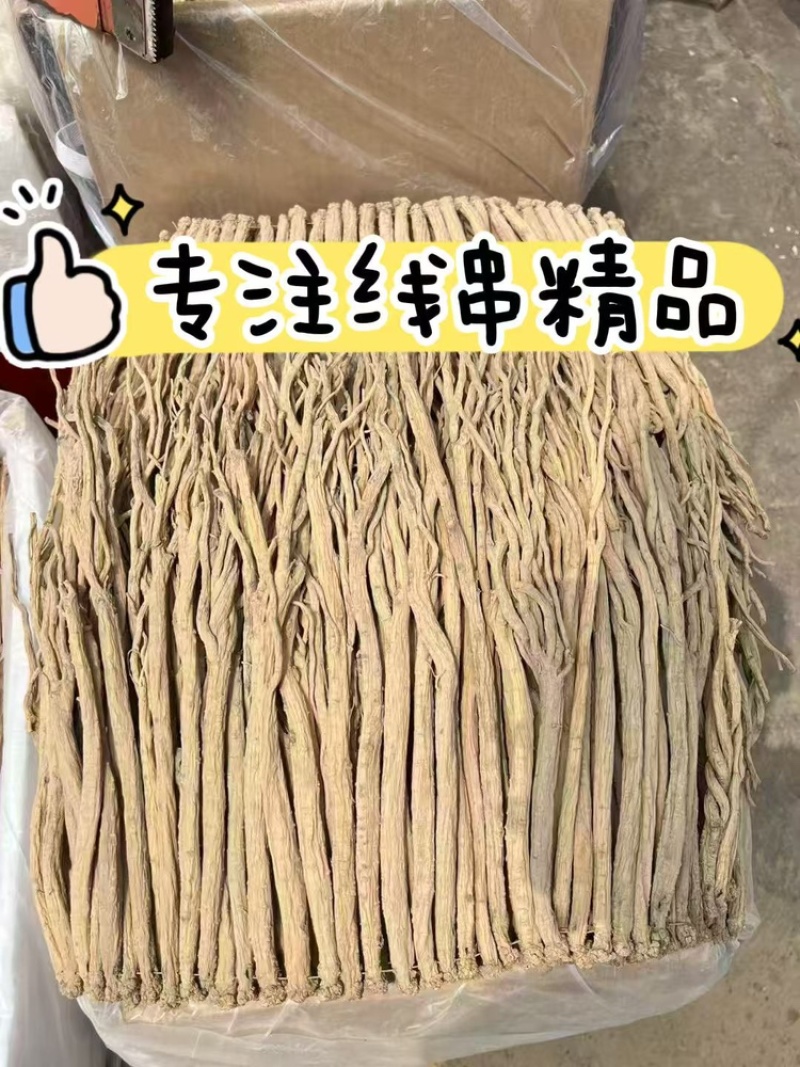 精品线串无硫甘肃党参去疤包邮全干
