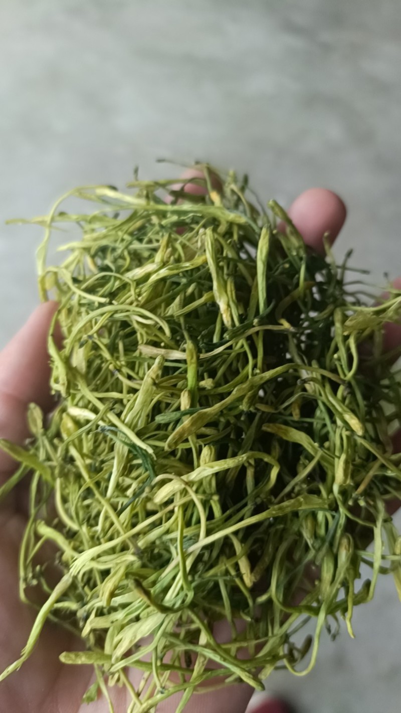 隆回金银花青茶五彩花批发大货库存充足对接批发