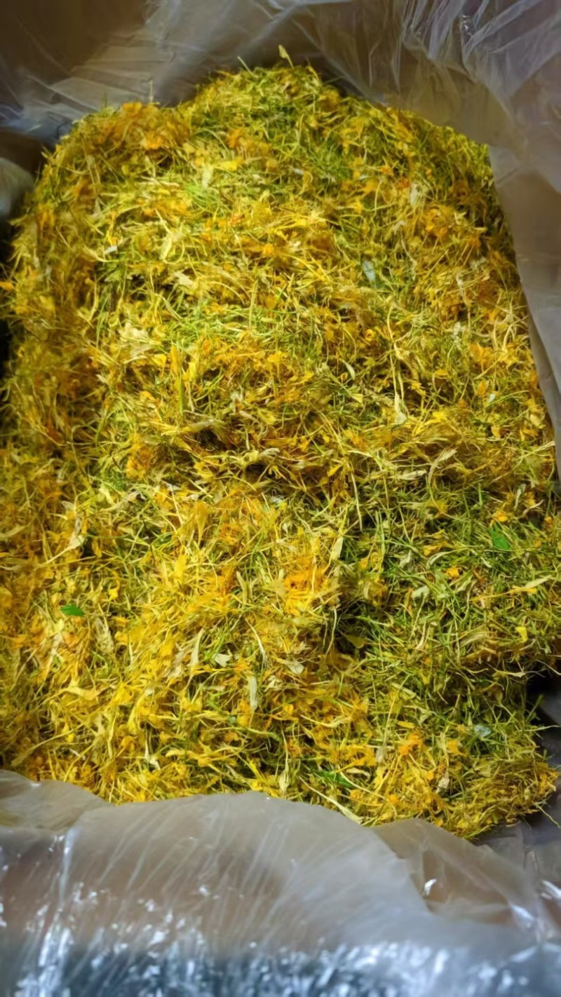 隆回金银花青茶五彩花批发大货库存充足对接批发