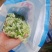 韭菜花河北邯郸临漳万亩韭菜基地