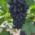 蜜蓝宝石
