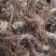 水洗地胆头虫药批发一手货源量大忧惠