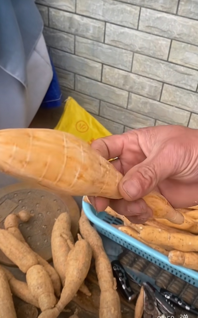 牛大力