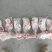 内蒙古锡林浩特草地羔羊前大腿