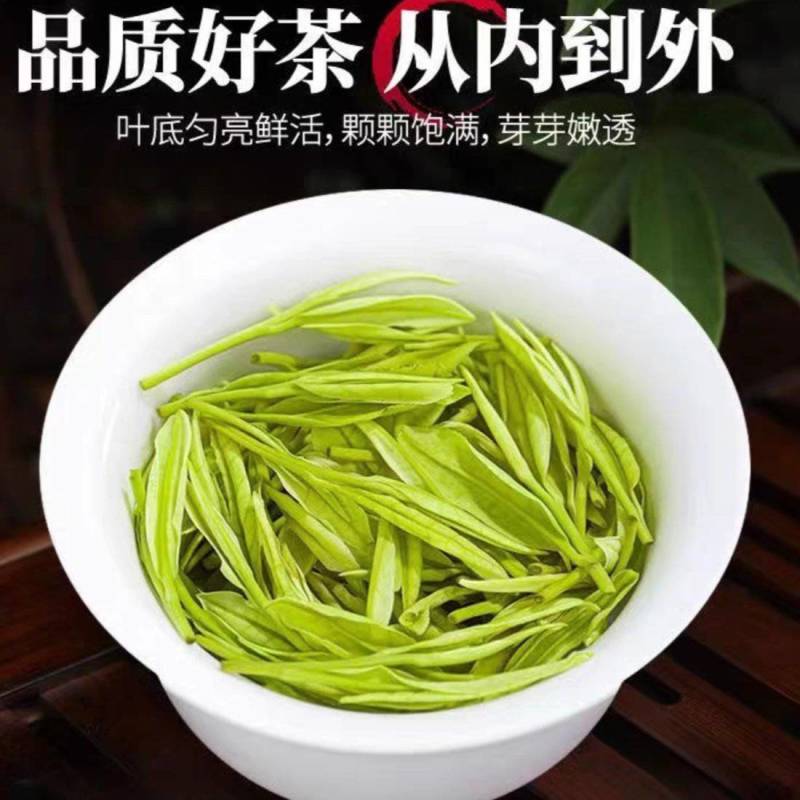 2025新茶茶农自产鲜香嫩芽贵州正安白茶明前正宗高山白茶