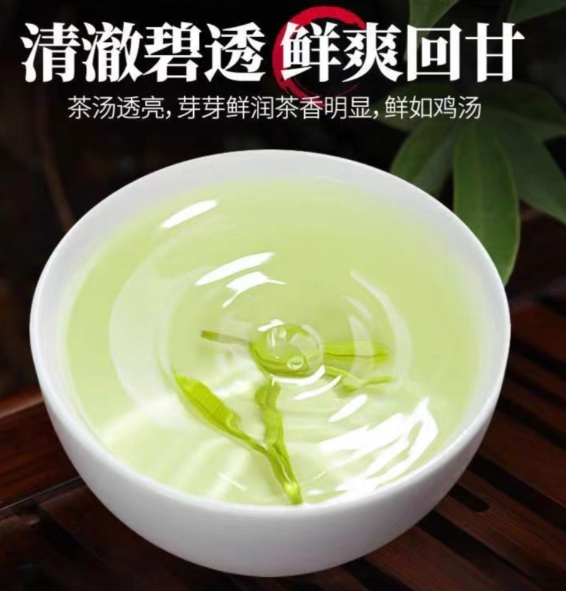 2025新茶茶农自产鲜香嫩芽贵州正安白茶明前正宗高山白茶