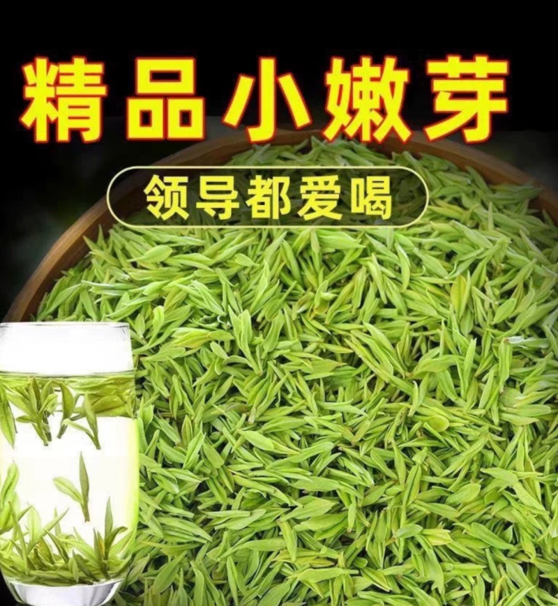 2025新茶茶农自产鲜香嫩芽贵州正安白茶明前正宗高山白茶