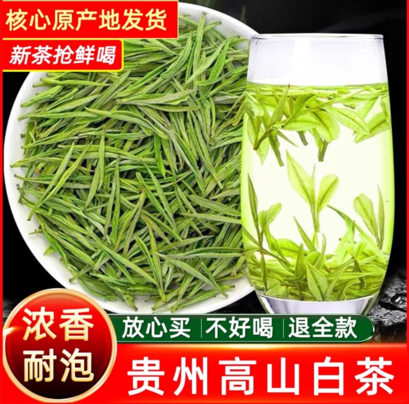 2025新茶茶农自产鲜香嫩芽贵州正安白茶明前正宗高山白茶