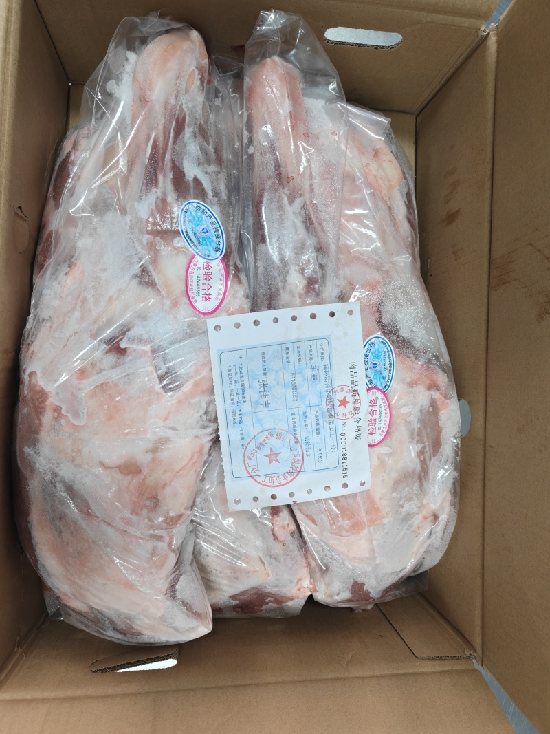 内蒙古锡林浩特草地羔羊前大腿