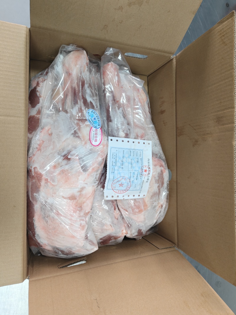 内蒙古锡林浩特草地羔羊前大腿
