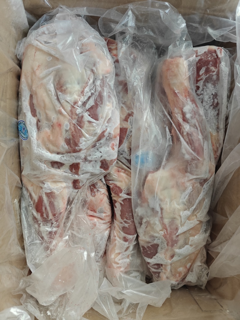 内蒙古锡林浩特草地羔羊前大腿