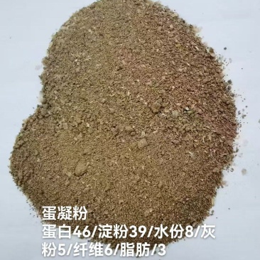 蛋凝粉