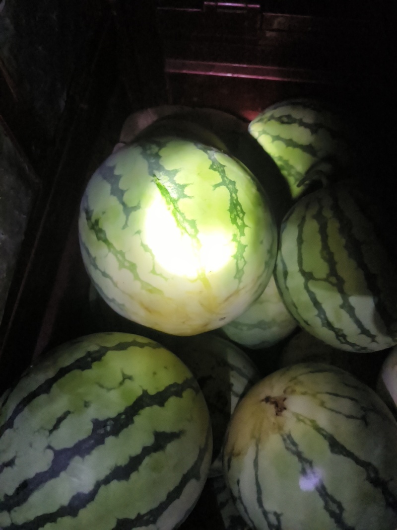 头茬美都