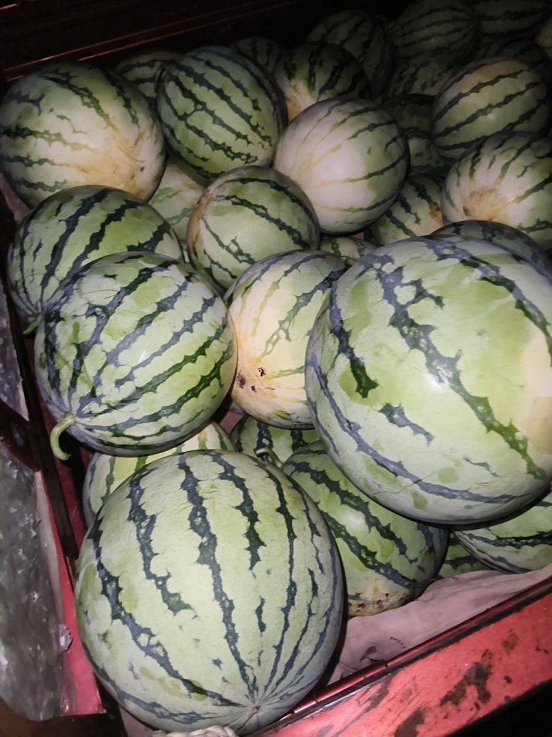 头茬美都