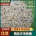 树蜂3级精品蜂蛹熟冻生冻都有货，货源充足电联采购