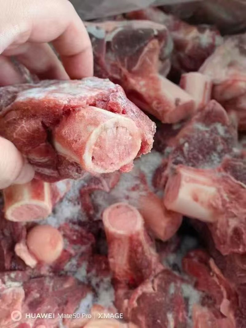 多肉羊棒骨