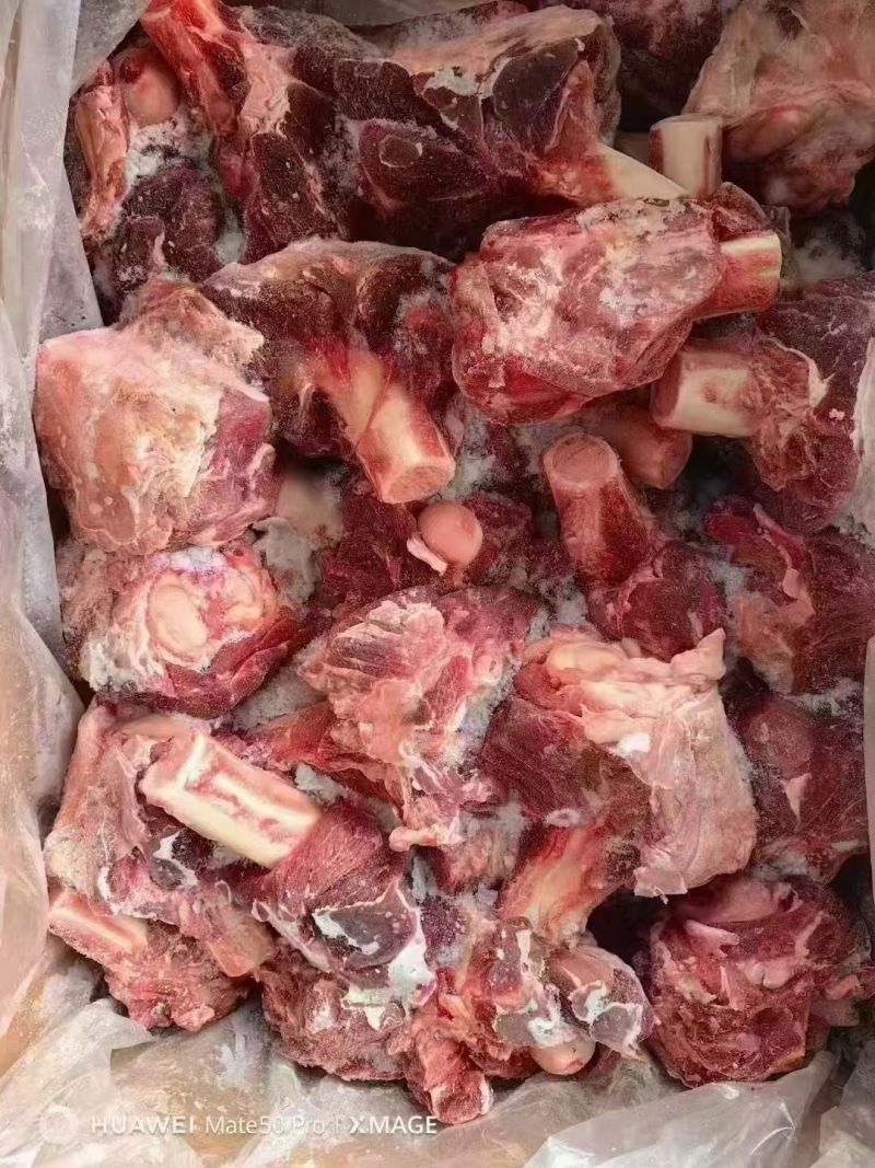 多肉羊棒骨