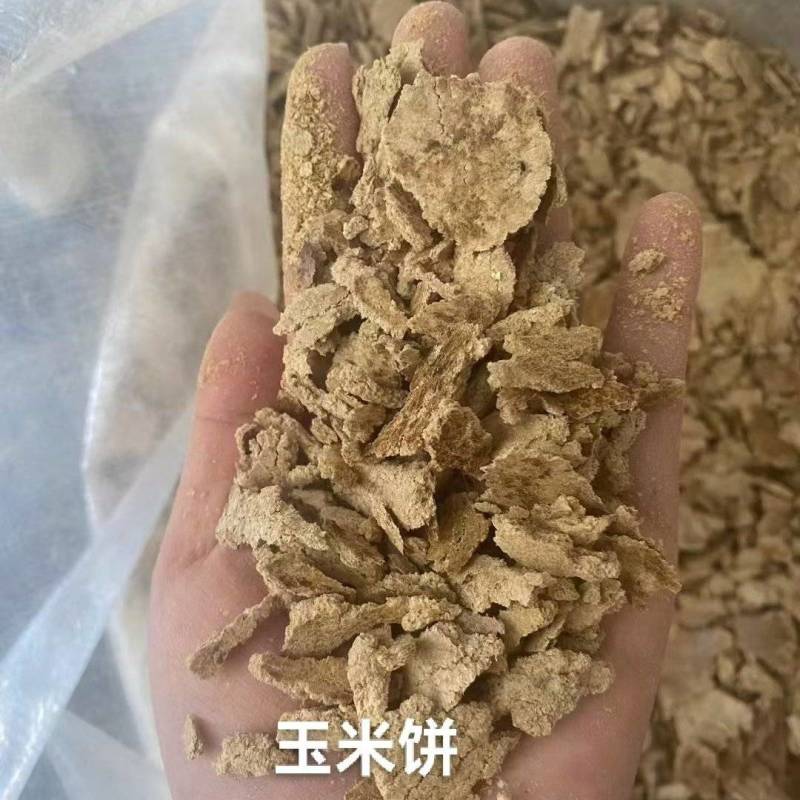 玉米饼：蛋白11-17，脂肪6，水分8