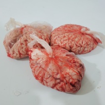 新鲜牛脑花整个牛脑花保鲜品质保证诚信经营欢迎联系