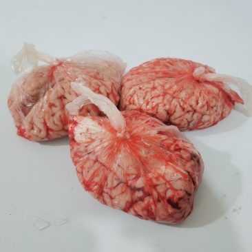 新鲜牛脑花整个牛脑花保鲜品质保证诚信经营欢迎联系