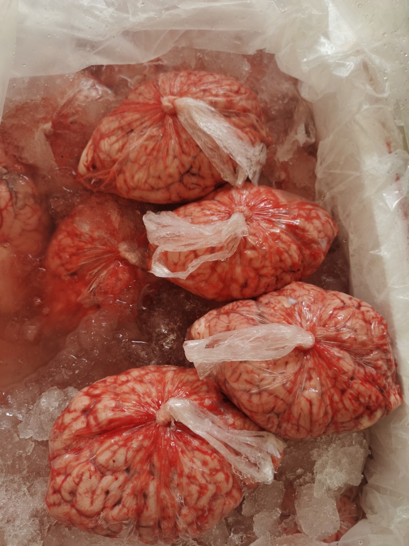 新鲜牛脑花整个牛脑花保鲜品质保证诚信经营欢迎联系