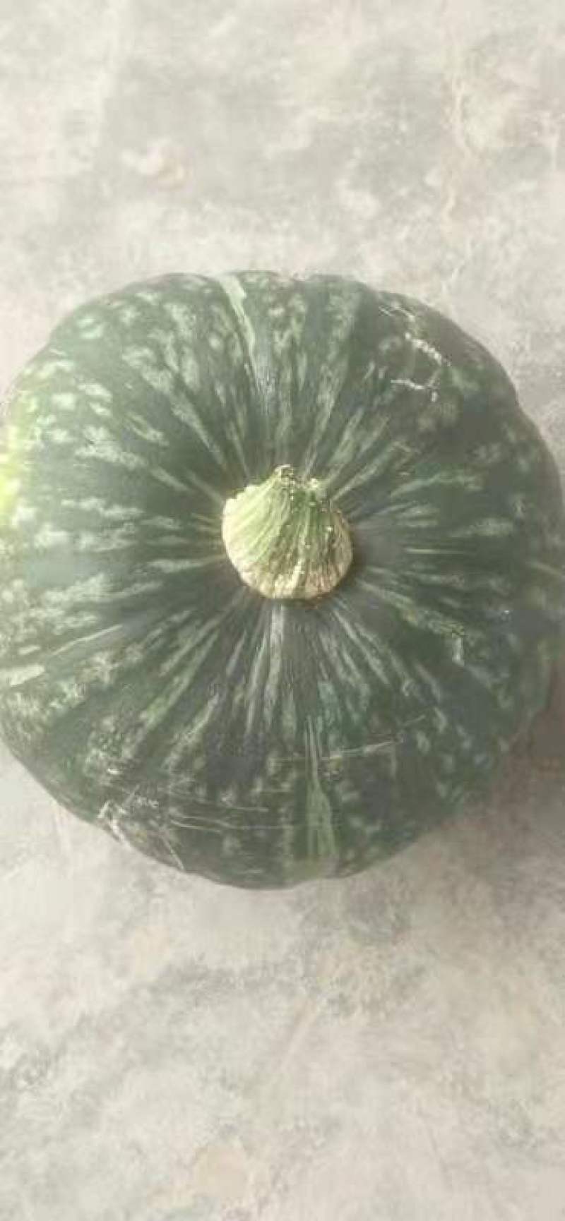 甘肃山丹板栗南瓜个头大，口感好