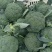 精品西蓝花大量供货价格便宜保质保量欢迎采购