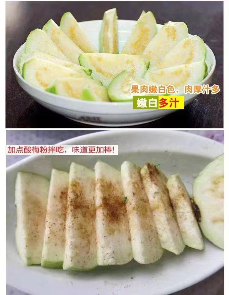 四季番石榴现摘现发清香多汁对接电商商超社区团购欢迎下单咨