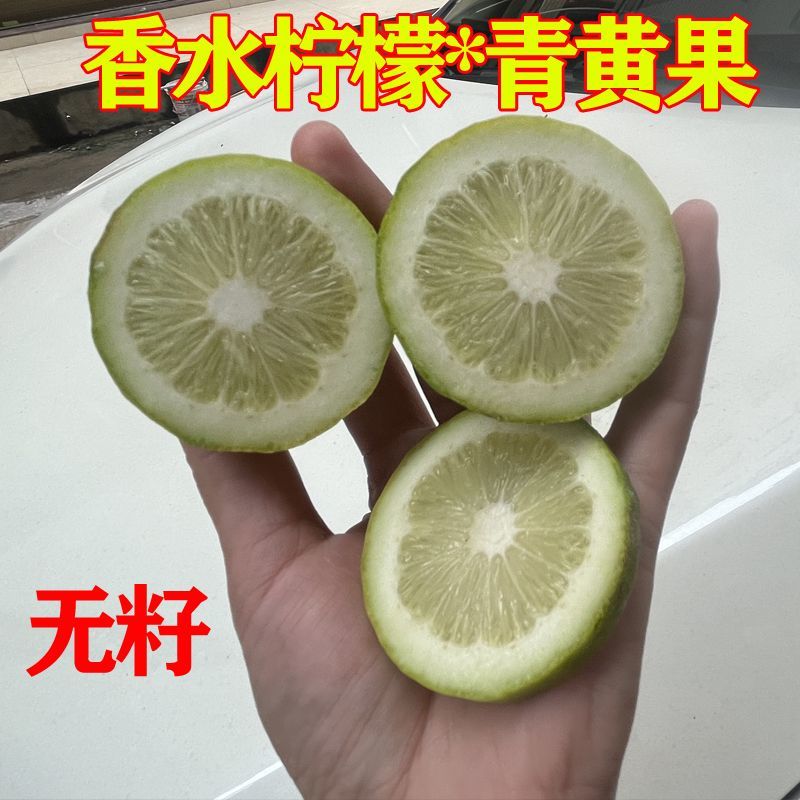 广东香水柠檬对接商用市场奶茶店，一件代发电商