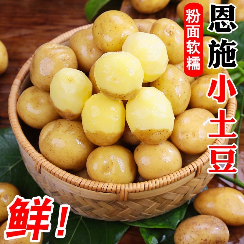湖北恩施富硒土豆黄心土豆，