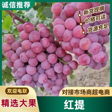 陕西渭南葡萄/精品红提/个大果甜/量大价优/保质/欢迎采购