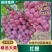 陕西渭南葡萄/精品红提/个大果甜/量大价优/保质/欢迎采购