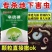 3%辛硫磷颗粒机，地下害虫
