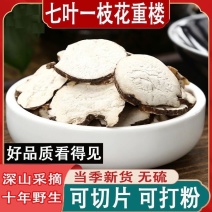 重楼正宗云南野生重楼特级重楼中药材批发零售正品保证