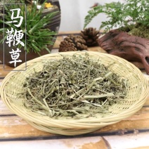 马鞭草正宗野生马鞭草批发零售质量保证二斤起售