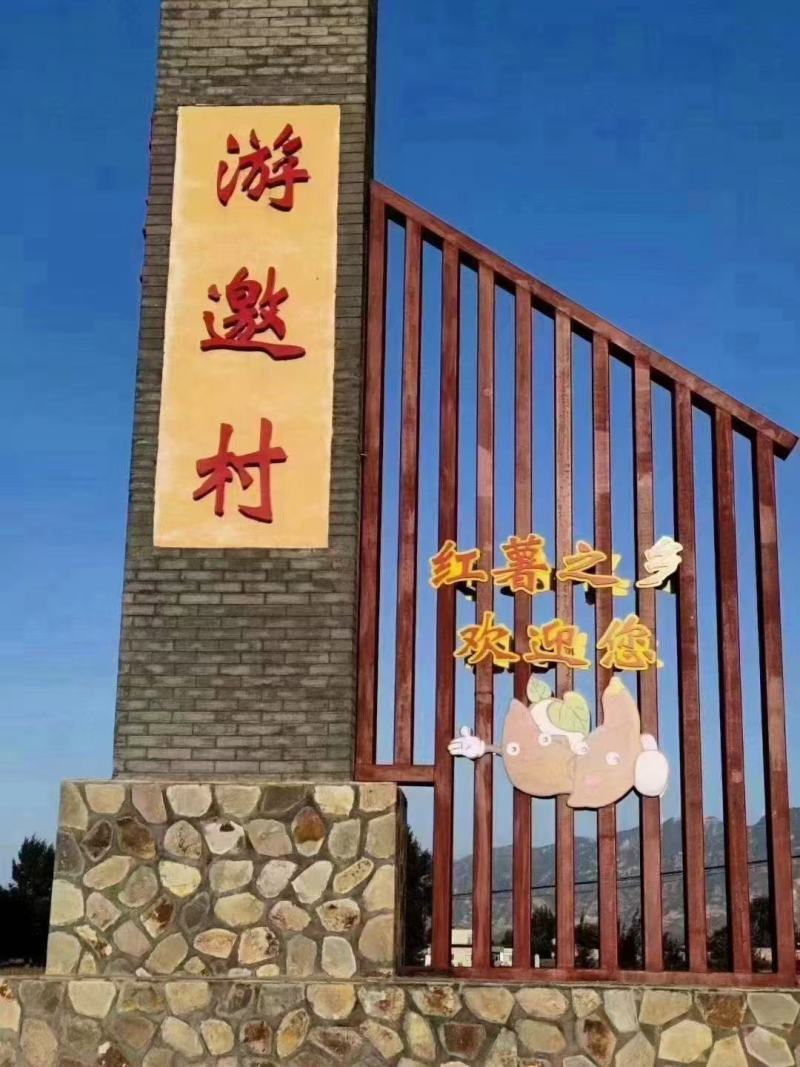 红薯烟25忻州红薯大量供应，量大从优