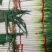 【推荐】宁夏钢葱供应市场商超电商一手货源量大从优